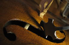 Atelier dos Violino - Manutenção